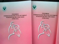 Image of PEDOMAN PEMANTAUAAN WILAYAH SETEMPAT KESEHATAN IBU DAN ANAK (PWS-KIA)