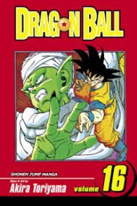 Image of dragon ball 16