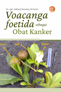 Image of Voacanga Foetida Sebagai Obat Kanker